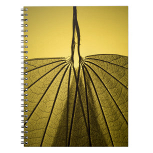 Cuaderno Esqueleto de la hoja