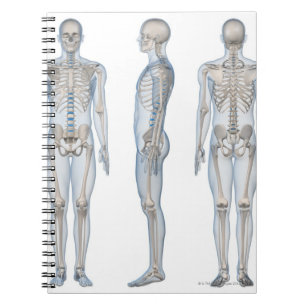 Cuaderno Esqueleto masculino 2