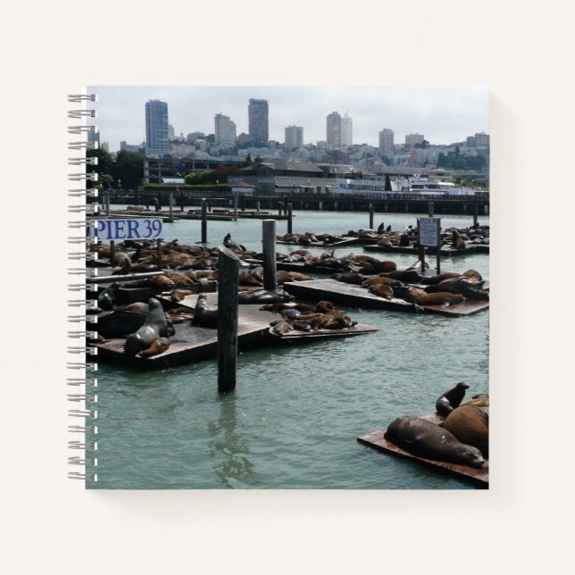 Cuaderno Esquina de San Francisco y Pier 39 Sea Lions City (Anverso)