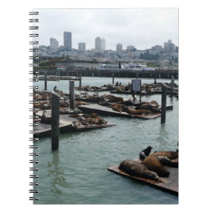 Cuaderno Esquina de San Francisco y Pier 39 Sea Lions City