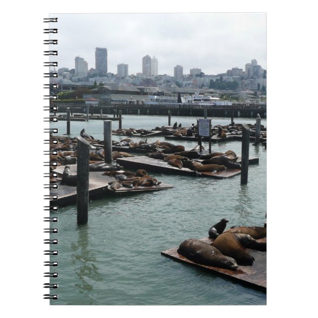 Cuaderno Esquina de San Francisco y Pier 39 Sea Lions City (Frente)