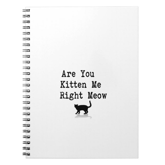 Cuaderno Está usted gatito yo maullido correcto (Frente)