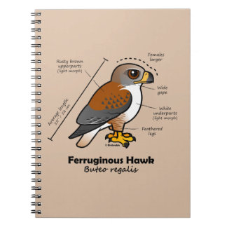 Cuaderno Estadísticas ferruginosas del halcón