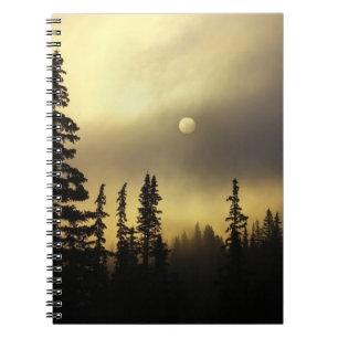 Cuaderno Estados Unidos, Colorado, Bosque Nacional de San I
