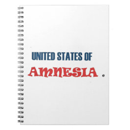 CUADERNO ESTADOS UNIDOS DE AMNESIA