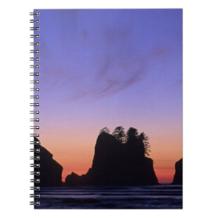 Cuaderno Estados Unidos, Washington, Parque Nacional Olímpi