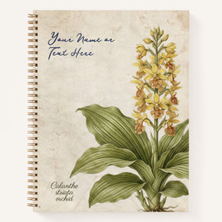 Cuaderno Estafa Botánica de Calanthe Striata Vintage