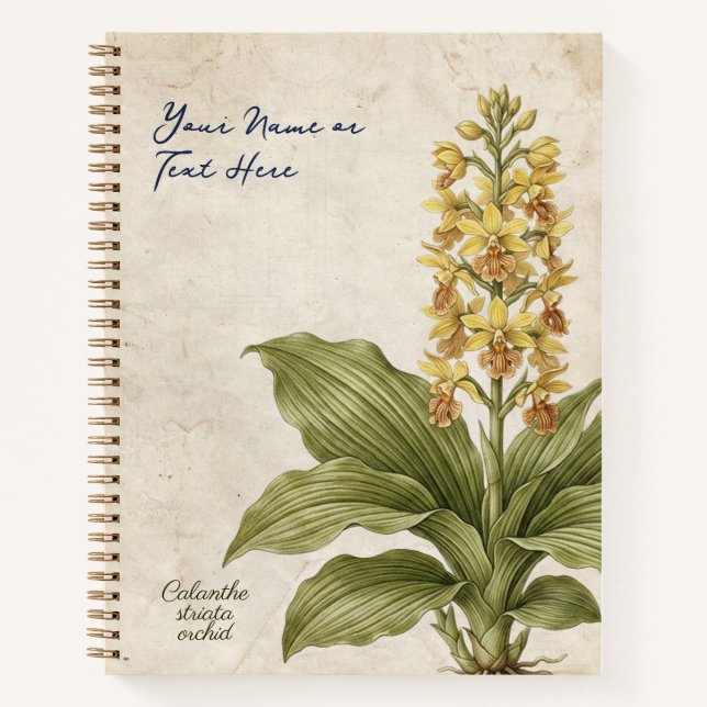 Cuaderno Estafa Botánica de Calanthe Striata Vintage  (Anverso)