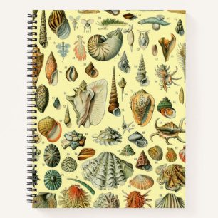 Cuaderno Estampa vintage de conchas de Adolphe Millot Coste