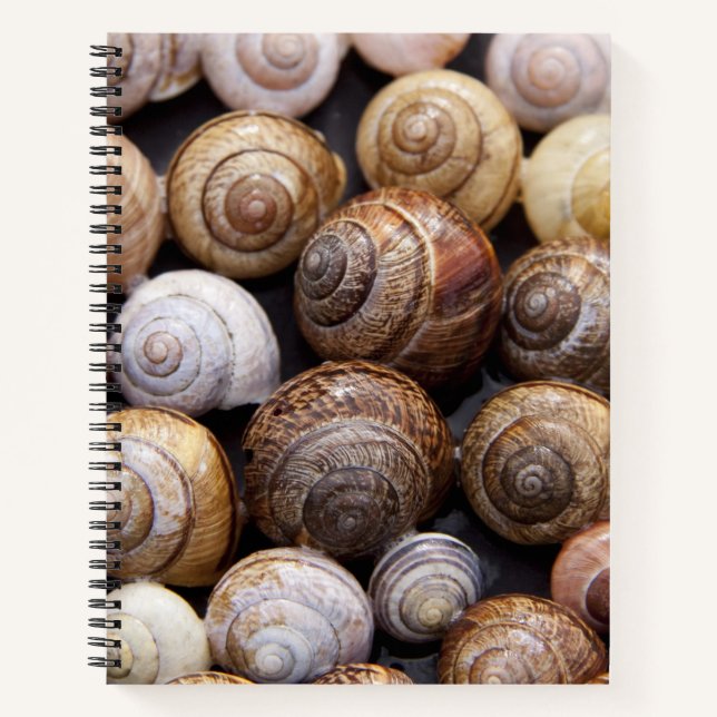 Cuaderno Estanques de caracol (Anverso)