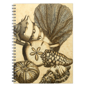 Cuaderno Estantes neutrales y recolección de corales