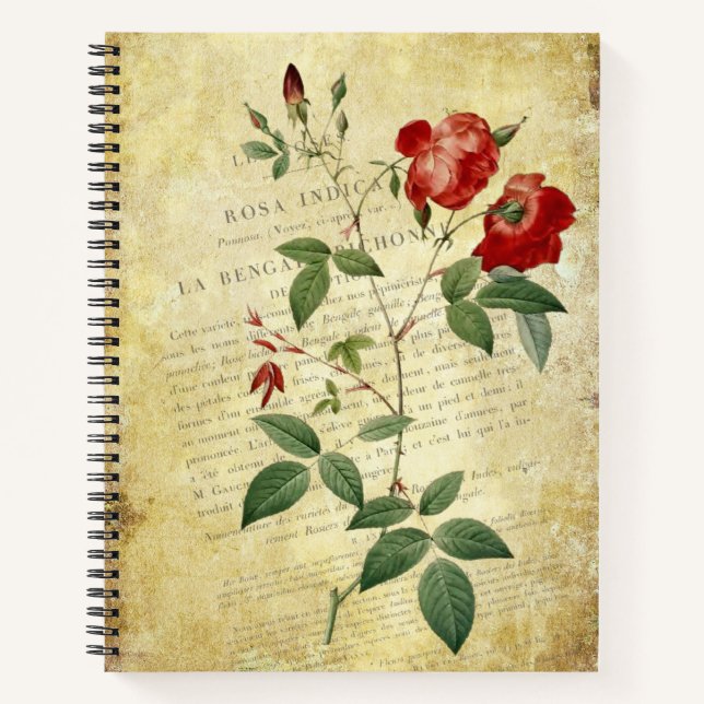 Cuaderno Estilo Rosa Indica Vintage (Anverso)