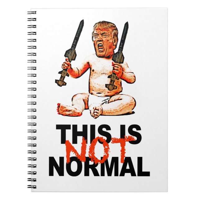 Cuaderno Esto no es normal (Frente)