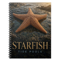 Estrella de mar Piscinas de marea fauna ANIMAL