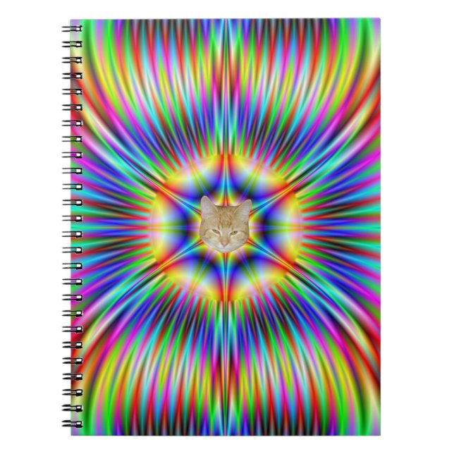 Cuaderno Estrella Phoenix para portátiles (Frente)