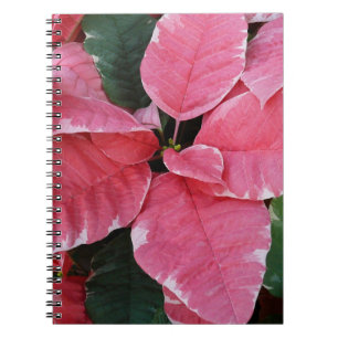 Cuaderno Estrella plateada de mármol Poinsettias Flor de va