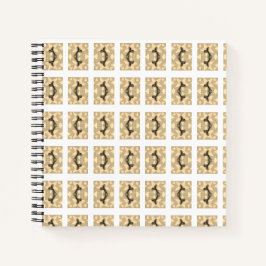 Cuaderno Estrella Sofisticada!