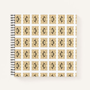 Cuaderno Estrella Sofisticada!