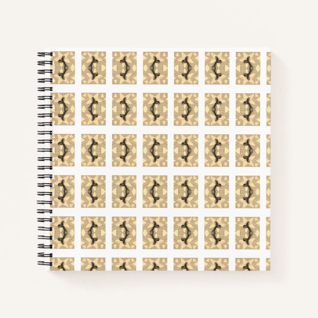 Cuaderno Estrella Sofisticada! (Anverso)