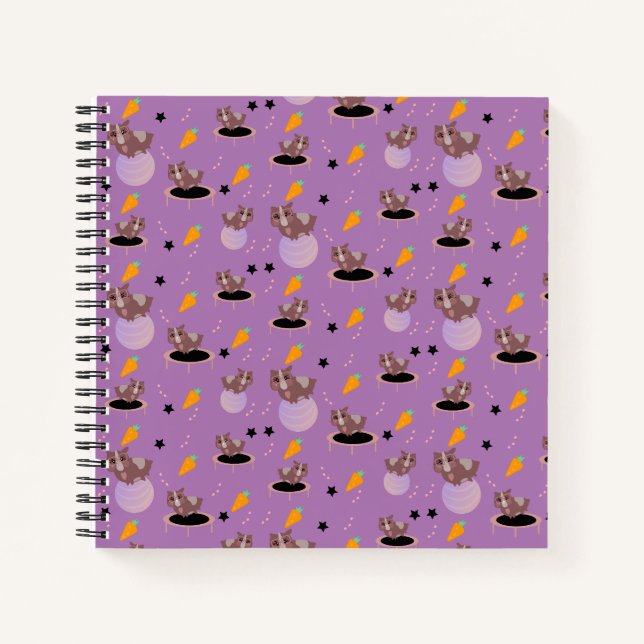 Cuaderno Estrellas de la pelota de ejercicio de fitness de  (Anverso)