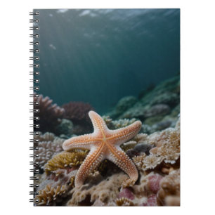 Cuaderno Estrellas de mar en el mar profundo