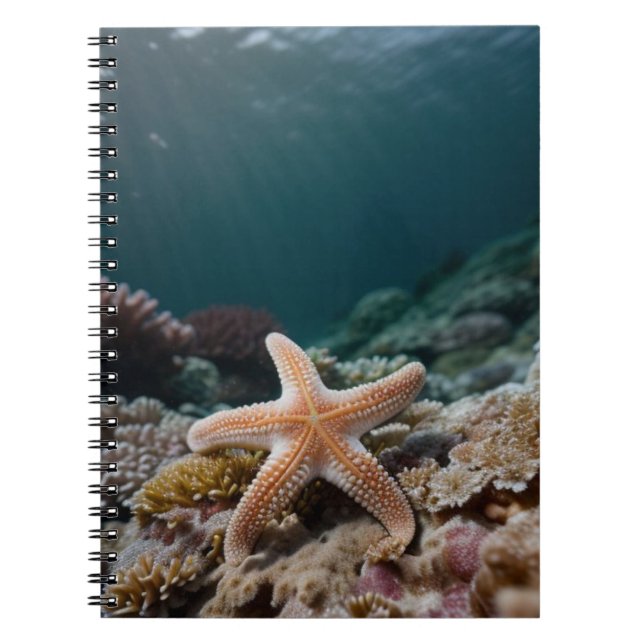 Cuaderno Estrellas de mar en el mar profundo (Frente)