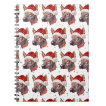 Estrellas de Navidad de la raza de perro sin pelo