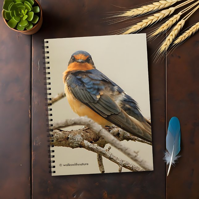 Cuaderno Estrellas de negociación con una golondrina (Trading Glances with a Barn Swallow Journal Cover Photo)