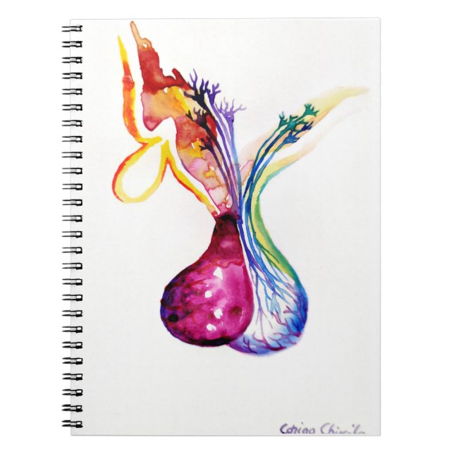 Cuaderno Estructura de la hipófisis (Frente)