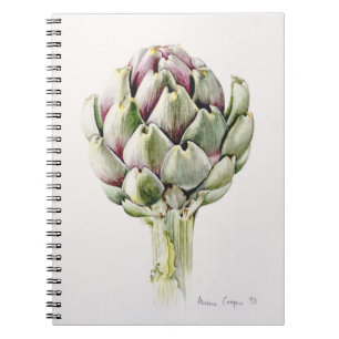 Cuaderno Estudio 1993 de la alcachofa