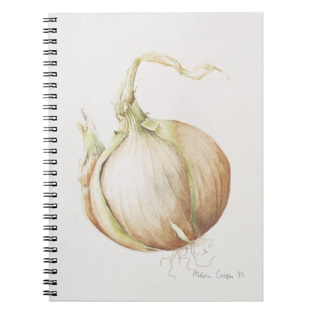 Cuaderno Estudio 1993 de la cebolla (Frente)