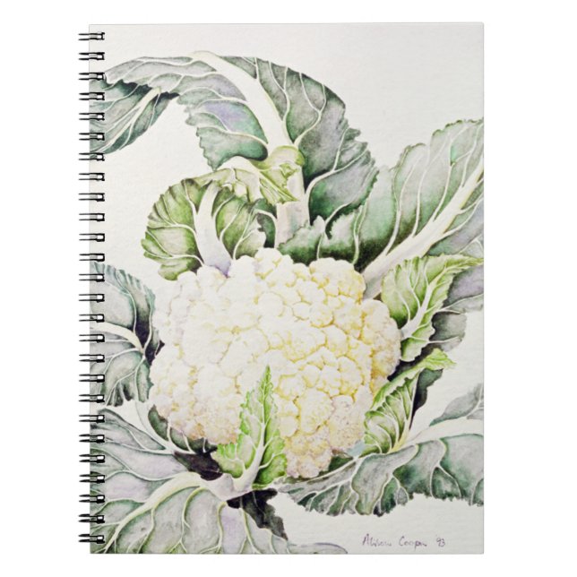Cuaderno Estudio 1993 de la coliflor (Frente)