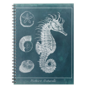 Cuaderno Estudio Azure Seahorse I