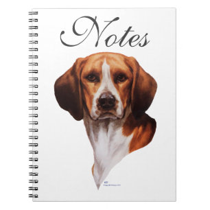 Cuaderno Estudio de cabeza de beagle