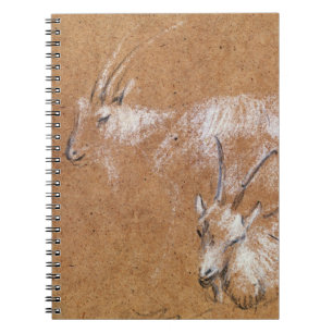 Cuaderno Estudio de las cabras (dibujo)