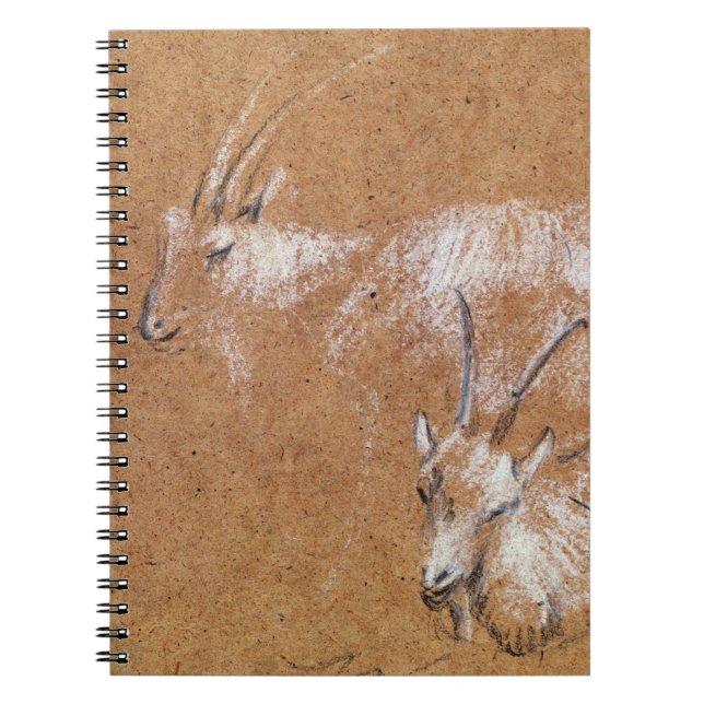 Cuaderno Estudio de las cabras (dibujo) (Frente)