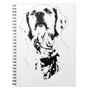 Cuaderno Estudio de línea, Diario tranquilo