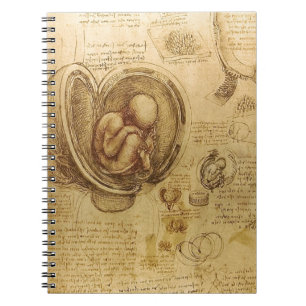 Cuaderno Estudio del feto de bebé de Leonardo da Vinci