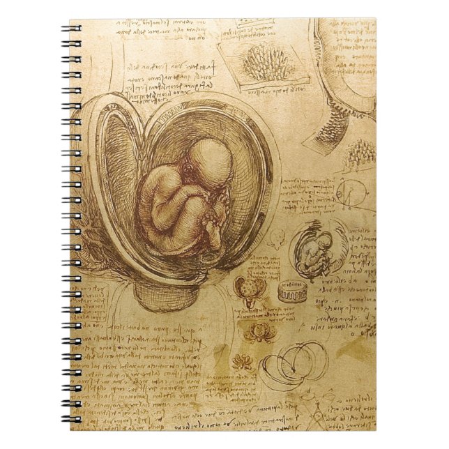 Cuaderno Estudio del feto de bebé de Leonardo da Vinci (Frente)