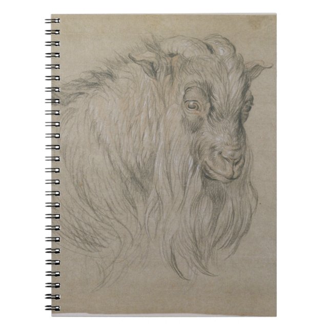 Cuaderno Estudio del jefe de un espolón (negro, sanguíneo y (Frente)