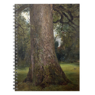 Cuaderno Estudio del tronco de un árbol de olmo, c.1821