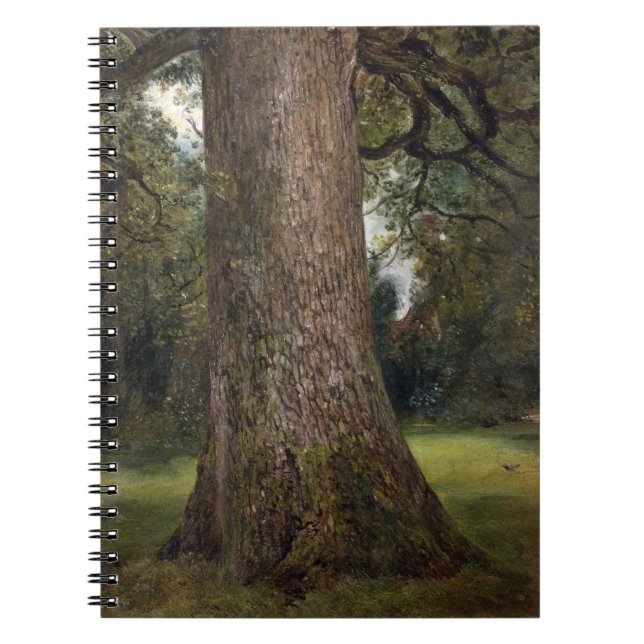 Cuaderno Estudio del tronco de un árbol de olmo, c.1821 (Frente)