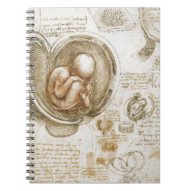 Estudios de Leonardo da Vinci del feto en la