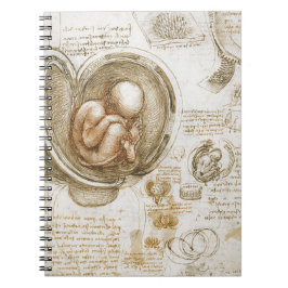 Cuaderno Estudios de Leonardo da Vinci del feto en la