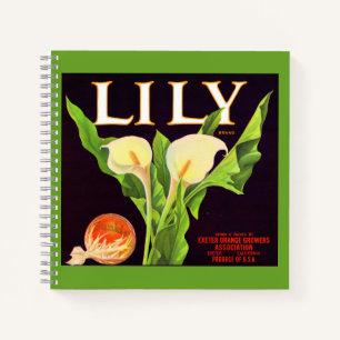 Cuaderno Etiqueta de caja de naranjas Lily de la década de 