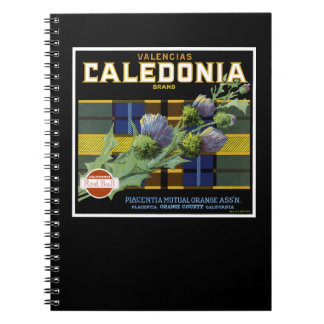 Cuaderno Etiqueta Naranja de Caledonia