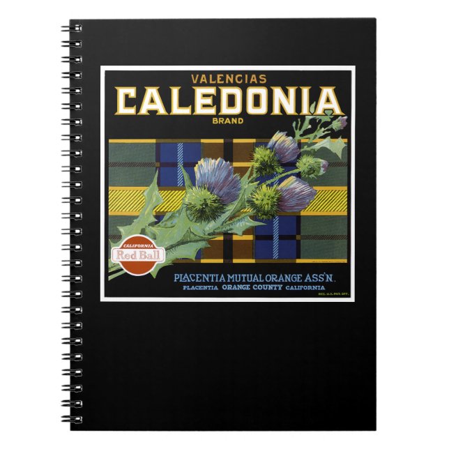 Cuaderno Etiqueta Naranja de Caledonia (Frente)