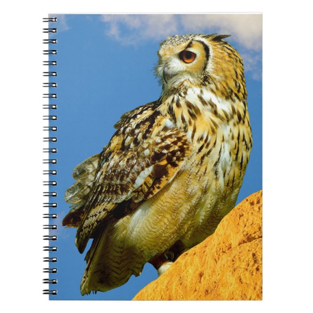 Cuaderno Eurasian eagle owl (Frente)