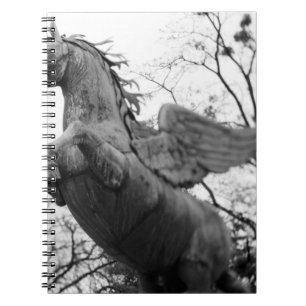 Cuaderno Europa, Austria, Salzburgo. Estatua de caballo ala