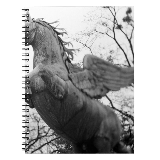Cuaderno Europa, Austria, Salzburgo. Estatua de caballo ala (Frente)